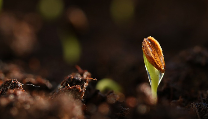 Облачността в последния ден на седмицата ще остане значителна.Около и