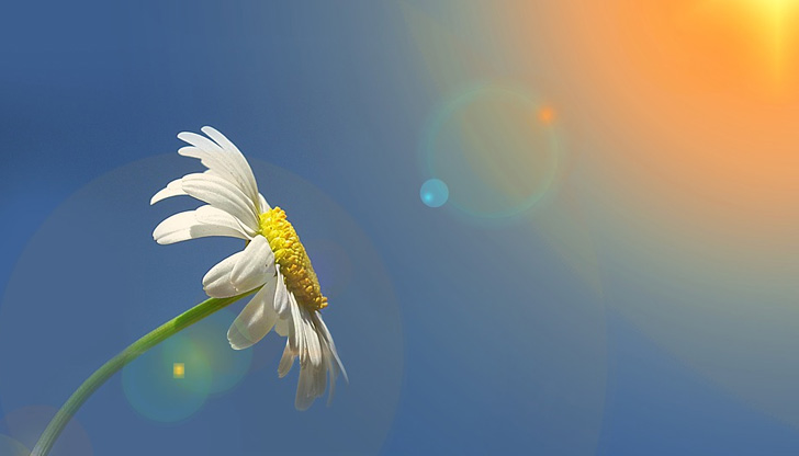 Последният ден на седмицата ще е облачен с разкъсвания на