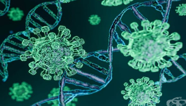 Вариантът Омикрон у нас не е самичък отдавна, говорим за