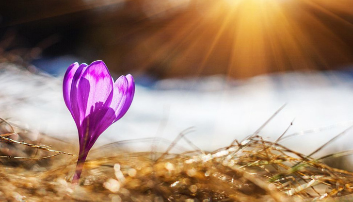 Утре облачността ще се увеличава и след обяд над повечето