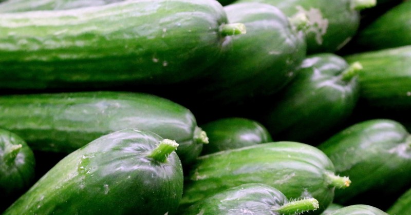 Над 5 лева удари килото на краставиците в последната седмица.Оказва