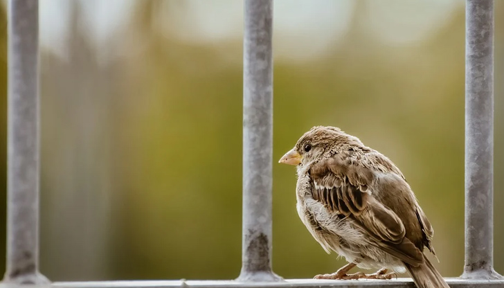 Утре ще преобладава слънчево време, с временни увеличения на облачносттаПрез