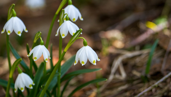 Утре ще духа умерен и силен северозападен вятър, с който
