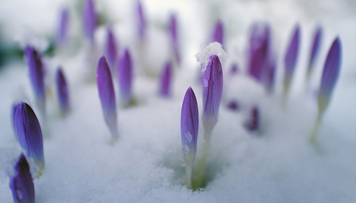 Причината е Средиземноморски циклонСтуденият фронт днес на обед вече трябва