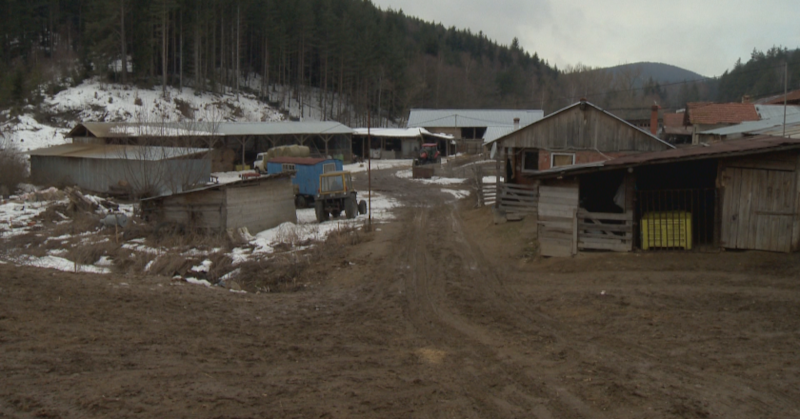 Убитият пастир в село Антон е бил добре познат на
