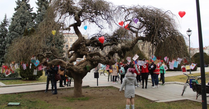 Русенци опитаха от вкусните "Меденки за Анди", изработени за животоспасяващата
