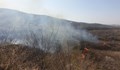Голям пожар гори край пловдивското село Марково