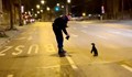 Полицията „арестува“ пингвин в Будапеща