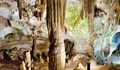 Пещера „Орлова чука“ очаква първите си посетители на 1 април