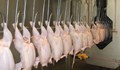 23 области в България вече могат да изнасят птиче месо за Япония