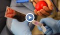 Платените донори на кръв не се трогнаха от акцията по безвъзмездно кръводаряване в Русе