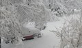 Защо зимата в България вече не е същата?