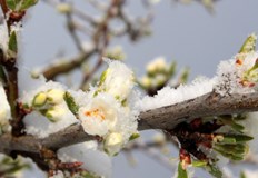 Астрономическата пролет настъпва на 20 мартПредстоящите почивни дни ще са