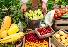 Мирният граждански протест е срещу политиката на Земеделското министерство в