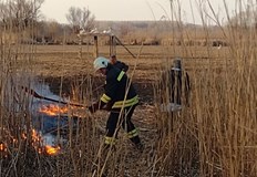 Пожари достигнаха почти до колонията от пеликани в Защитената местност