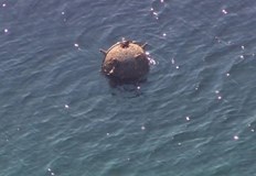 Военноморските сили и Морска администрация ще дадат повече информация за