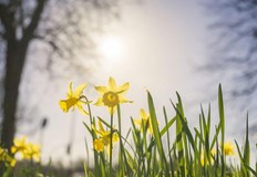 Ветровито но и сравнително топло се задържа времето и днес