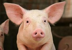 Европейската комисия ЕК облекчи ограниченията при производството и търговията на