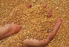 Тенденцията за повишаване на цените на храните ще продължи смятат