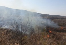Голям пожар гори край пловдивското село Марково Пламъците са обхванали сухи