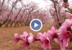 Редица малки производители се отказват от бранша обясни Николай КолевВисоките