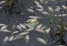 Масово измиране на риба в язовира в аксаковското село Засмяно