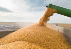 Не е изключено да се стигне до забрана на износа