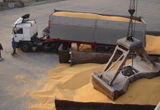 Запасите от пшеница с почти 1 милион тона повече от количеството