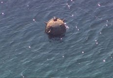 Мина бе открита в Черно море близо до границата с