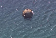 Министерството на отбраната предприема необходимите мерки увери президентът ЕрдоганТурското министерство