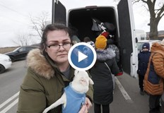 Разказ за пътя към спасението на хиляди украинци Евакуацията продължава а