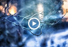 В навечерието на Сирни Заговезни посрещаме пореден напън на зимата В