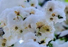 Месечна прогноза за априлТази година април се очертава с необичайно