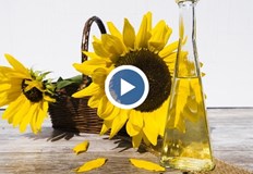 Няма притеснения за продоволствената сигурност на страната Логистиката на търговските вериги