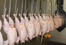 Двадесет и три области в България вече могат да изнасят