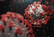 1333 са новите положителни тестове за коронавируса у нас за