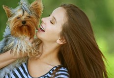 Йоркширският териер започнал да скача на гърдите на стопанката сиВъв Великобритания