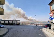 Над 300 хектара гора суха растителност и храсти са изгорели