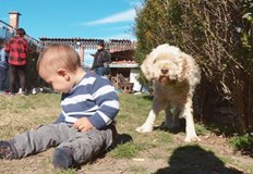 Интересна тенденция започнала още с началото на пандемията само за