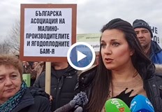 Производители на плодове и зеленчуци от цялата страна излязоха на