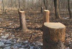 Засилените атаки към министерството в последните месеци показват че увеличеният