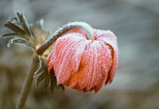 Минималните температури днес ще бъдат между минус 10 deg и минус