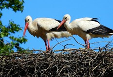 Поучителна история разказана от една учителка Нека всеки родител я