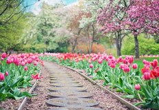 В планините също ще бъде слънчево и топлоСлънчево и топло