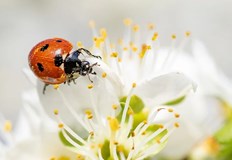 Рязко ще се повишат температурите ще бъде много топлоМежду 22 и