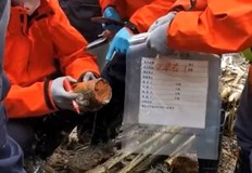 Намерената днес черна кутия на разбилия се в понеделник в