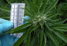 По обвинение на Окръжна прокуратура Русе двама мъже засели