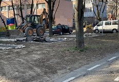 Погледнете пак на какво прилича алеята до парка Ние живущите не можем