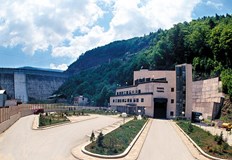 Обществото ни е инфантилно истерично лъгано от популисти и зле