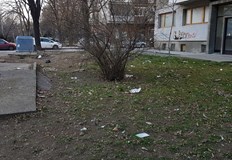 Всичкият боклук около контейнерите е в близката градинка Това е ситуацията